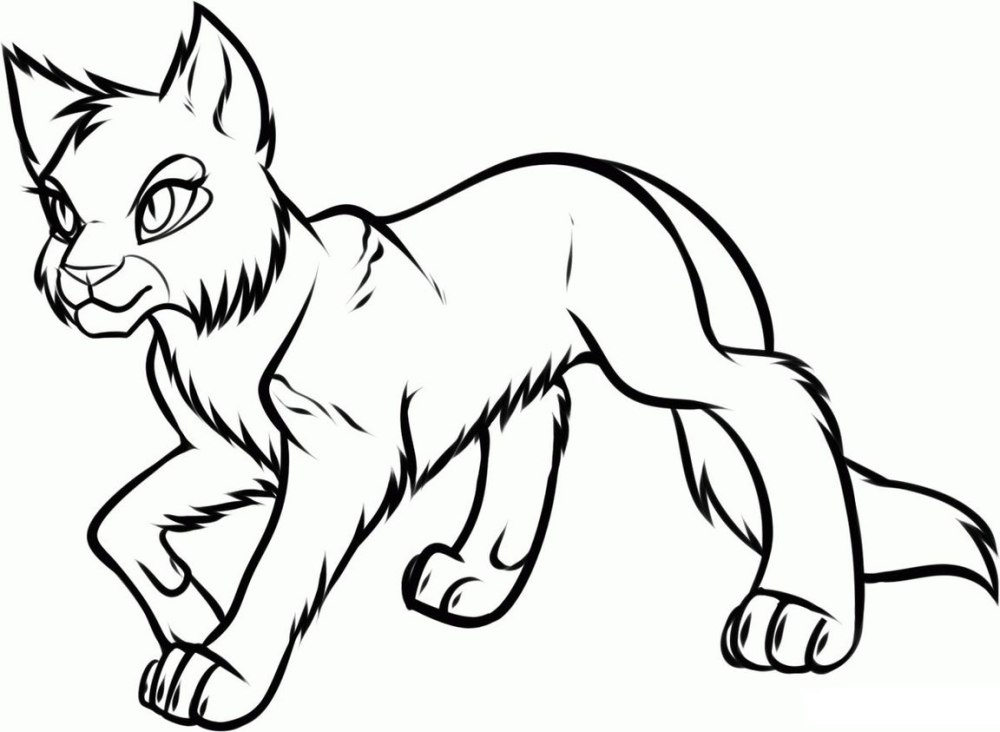 Коты Воители разукрашивать