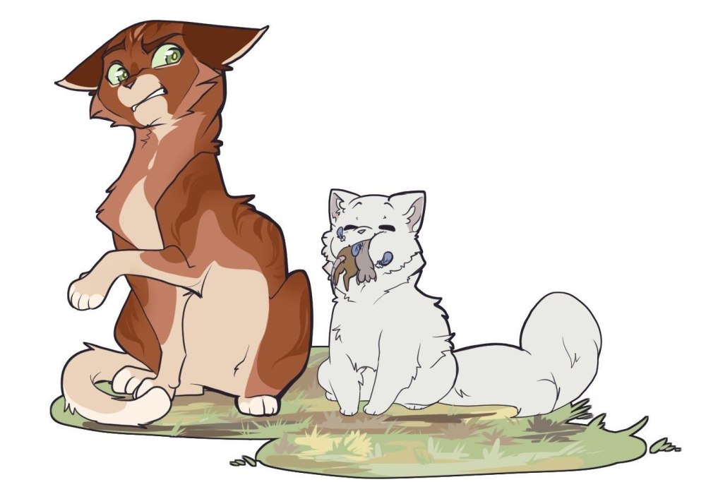 Огнезвёзд SSS Warrior Cats