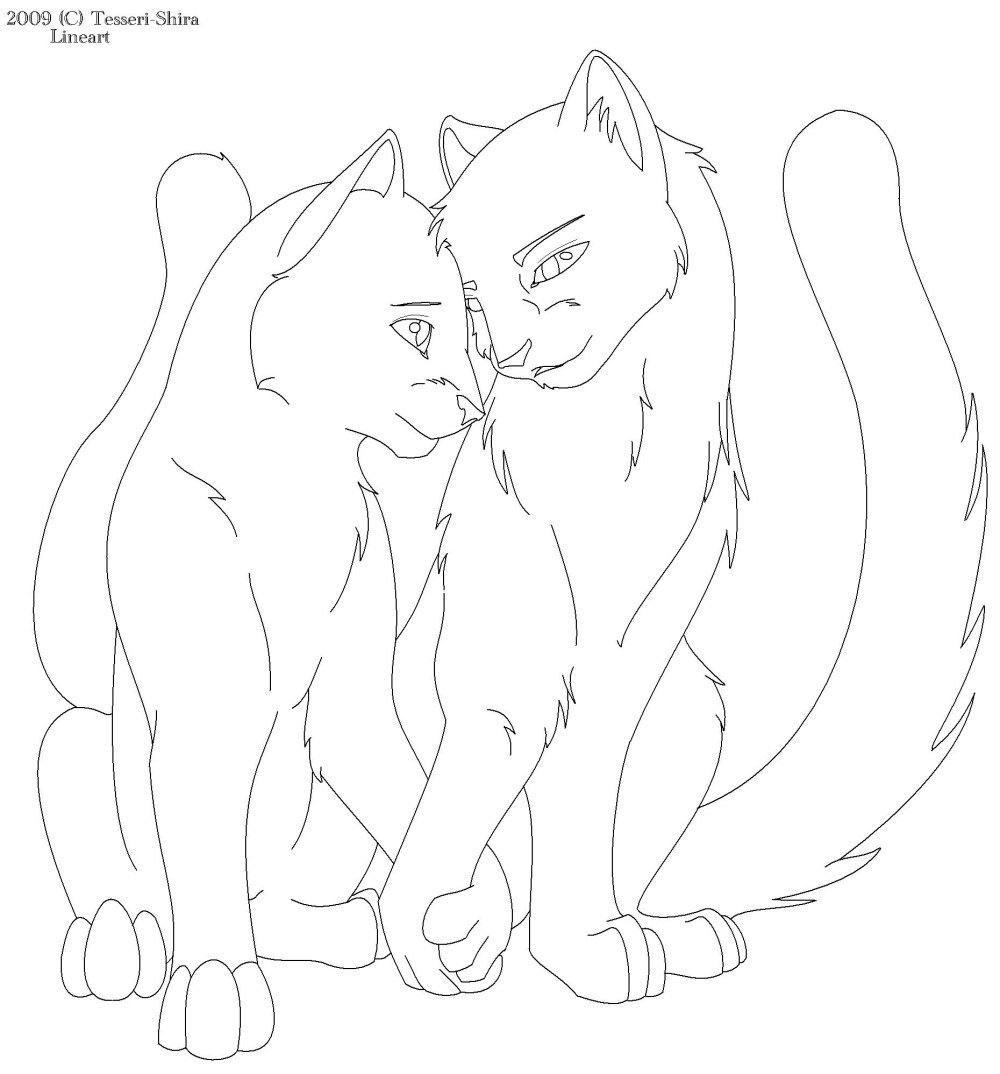 Коты воители обрисовка
