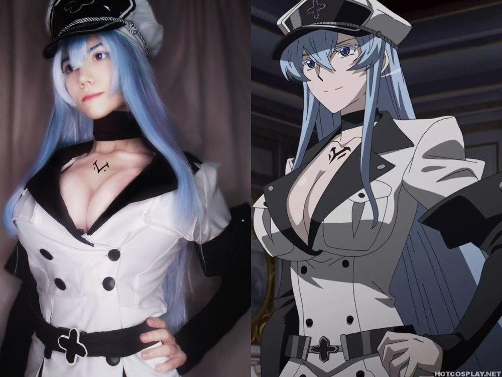 Убийца акаме Esdeath
