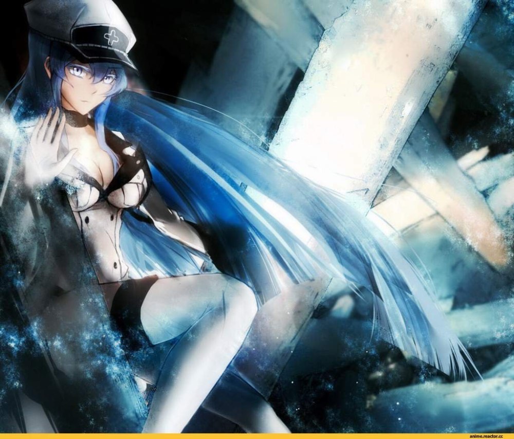 Убийца акаме Esdeath