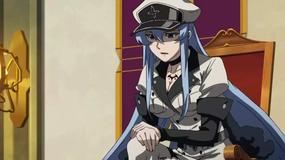 Убийца акаме Esdeath