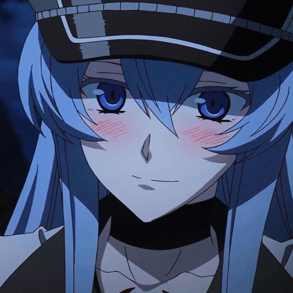 Esdeath аниме