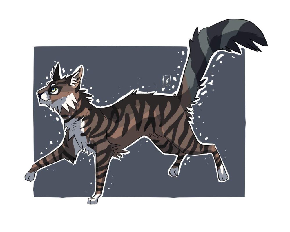 Коты Воители Верескоглазка