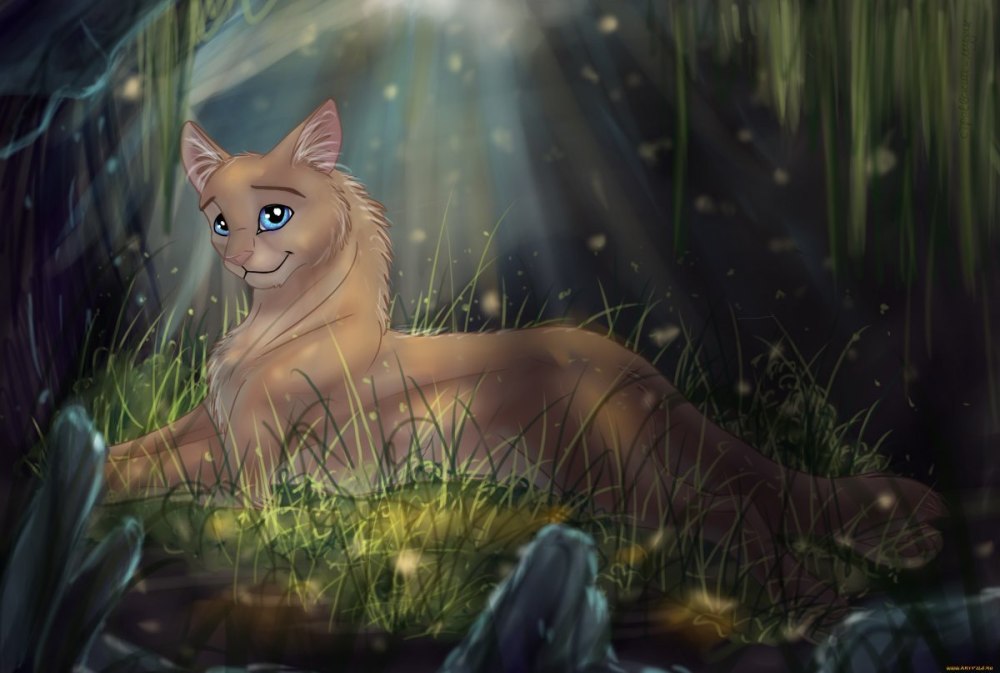 Ashfur коты Воители