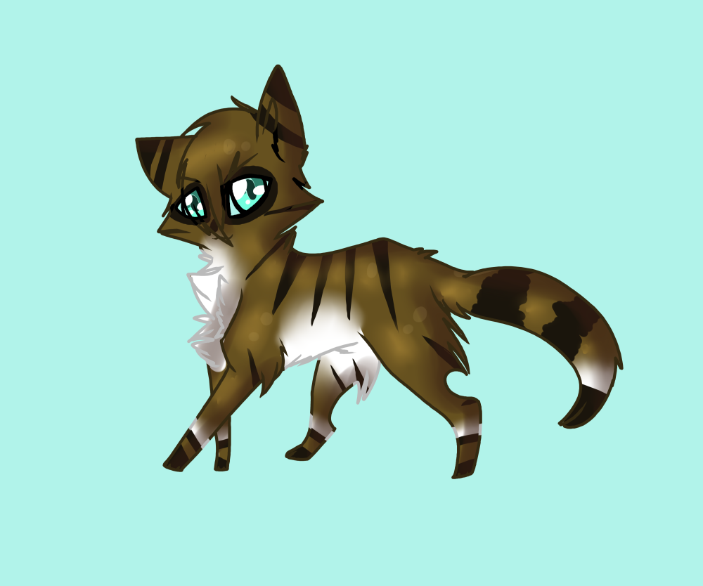 Warrior Cats Невидимая звезда
