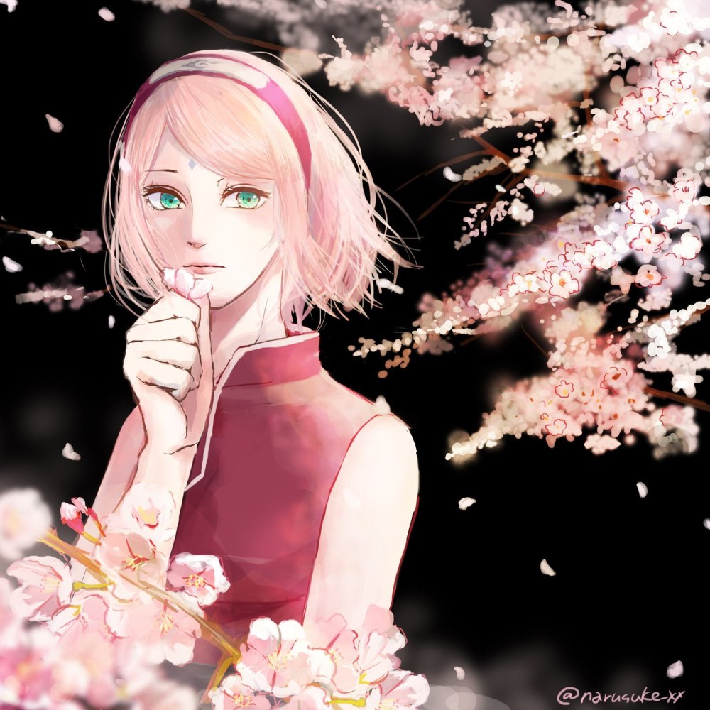 Сакура Харуно Sakura Haruno