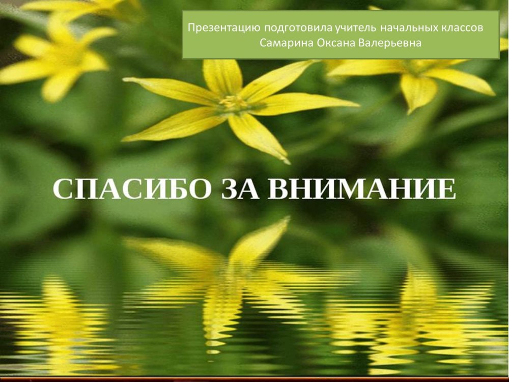 Спасибо за внимание биология