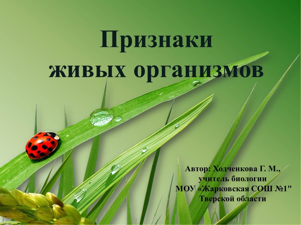 Спасибо за внимание биология