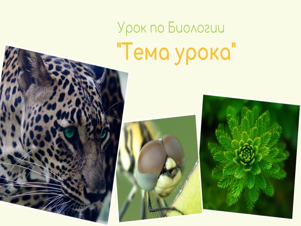 Спасибо за внимание