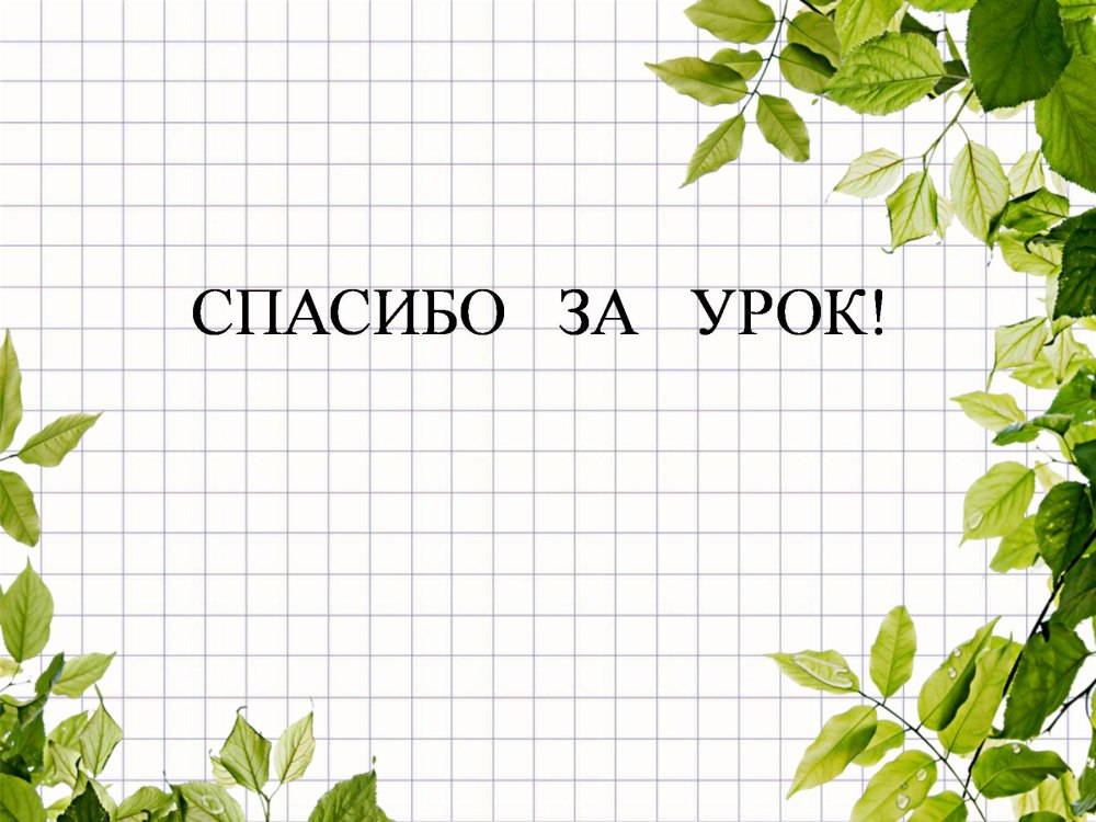 Презентация по биологии