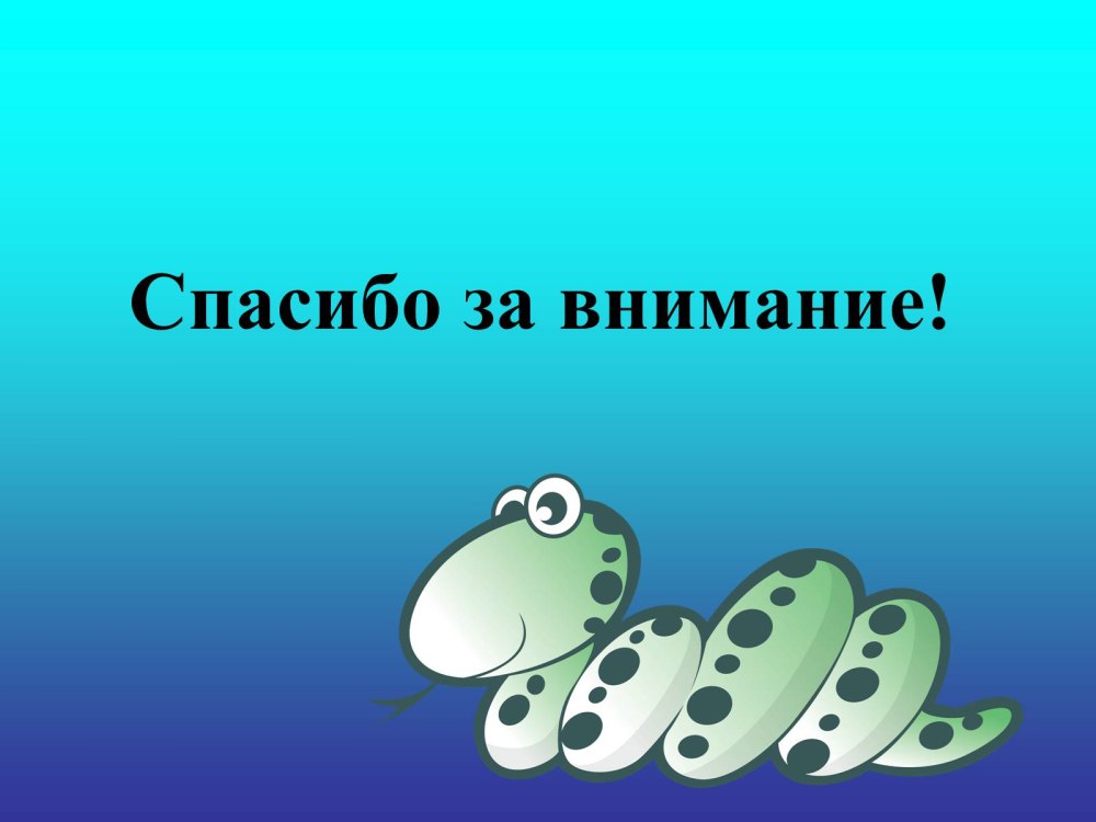Спасибо за внимание грибы