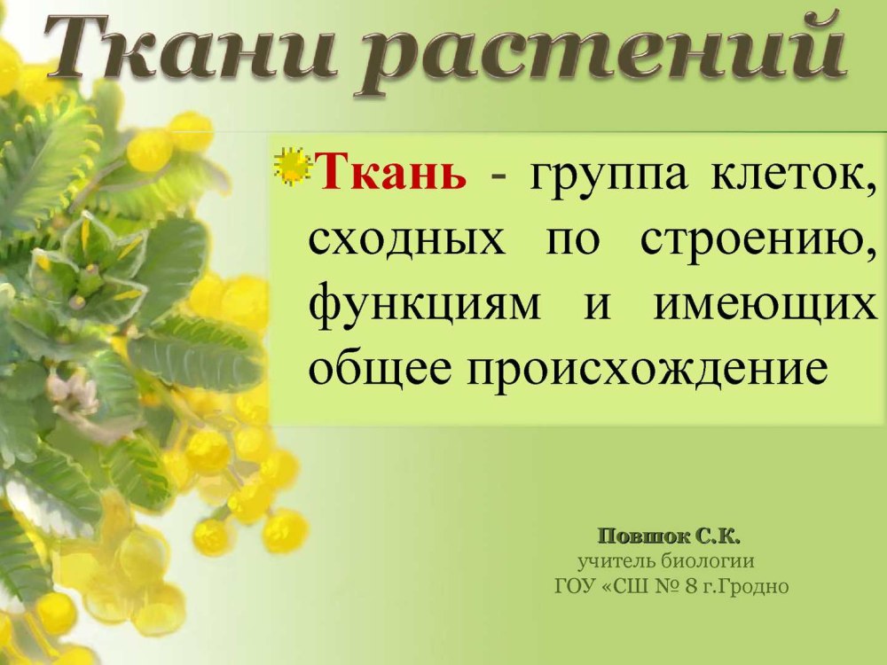 Спасибо за внимание для презентации