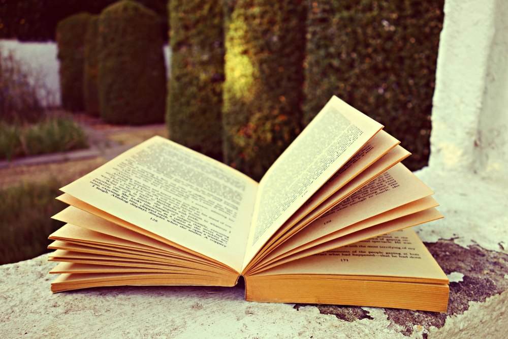 Книга для…