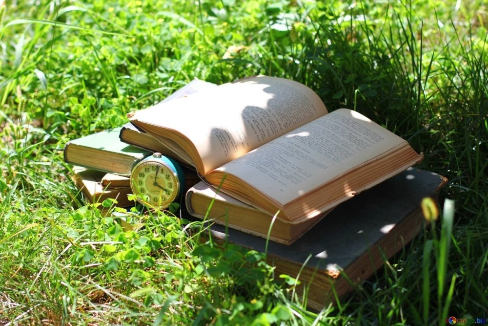 Книга на траве