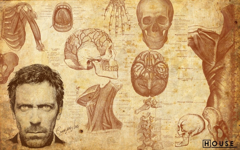 Vitruvian man Leonardo da Vinci