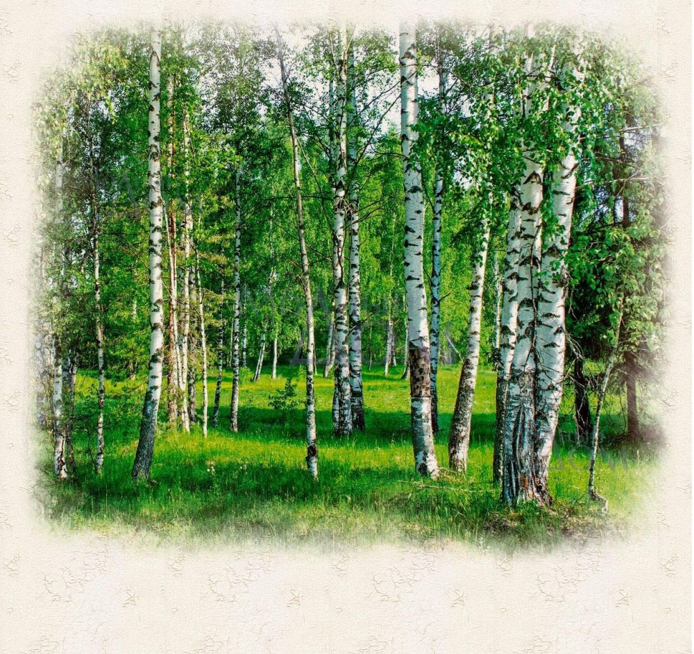 Березовые Рощи Поленова