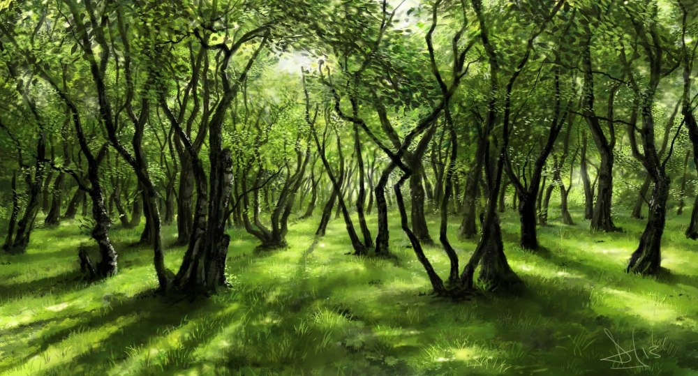 Лес рисунок