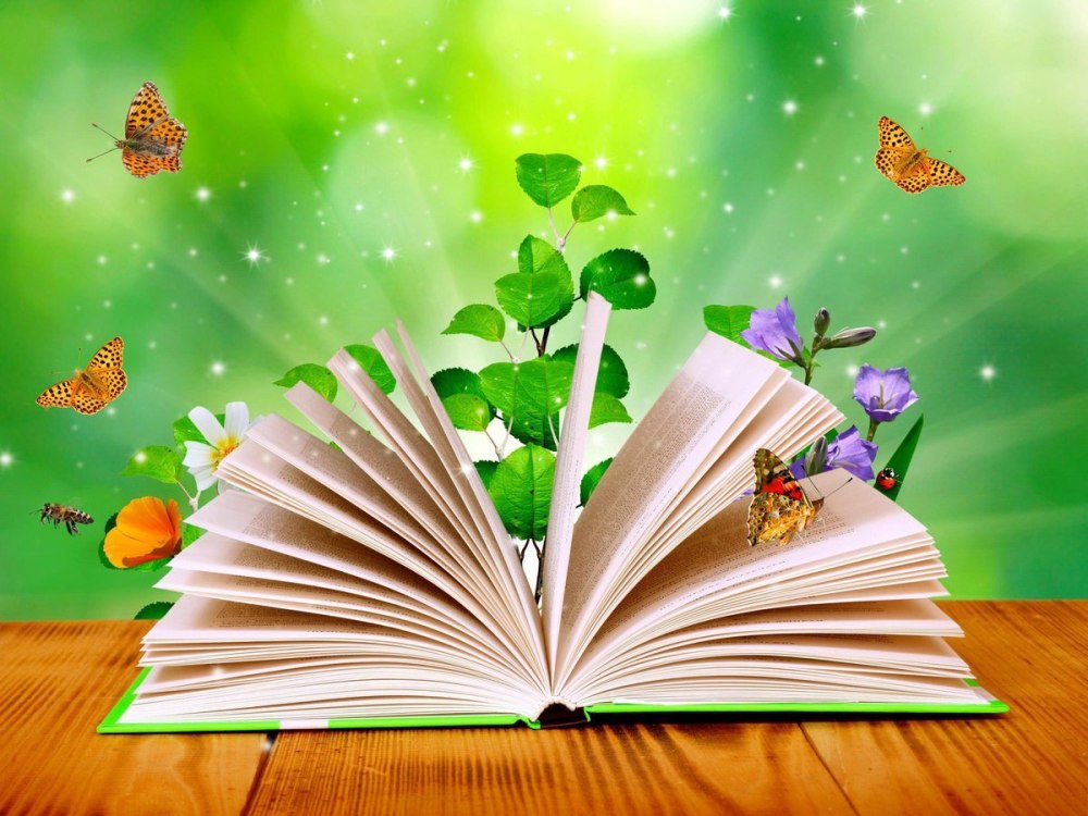 Фон для презентации книги и библиотека