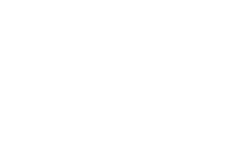 PV контроллер заряда ls1024rp