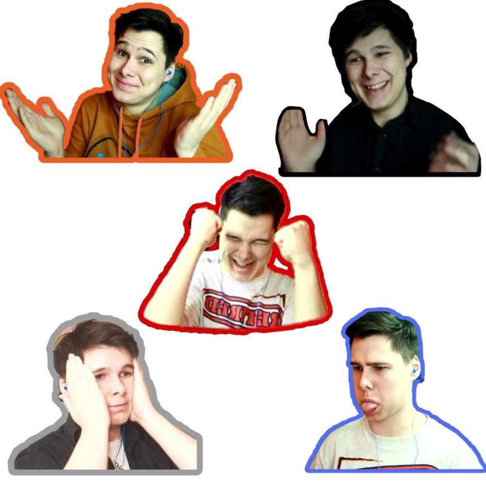 Кошка Лана и Лео шип