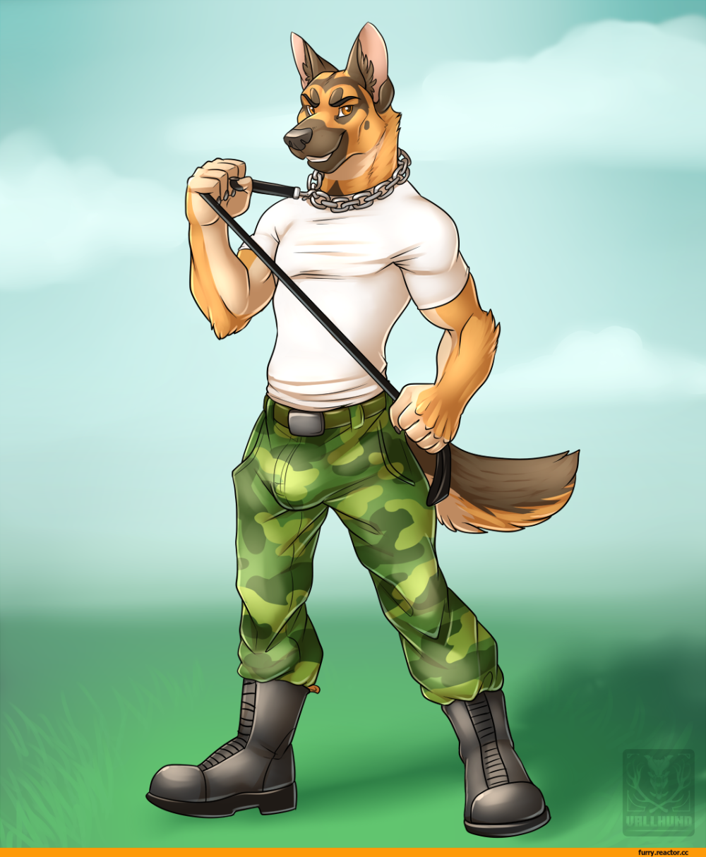 Vallhund фурри