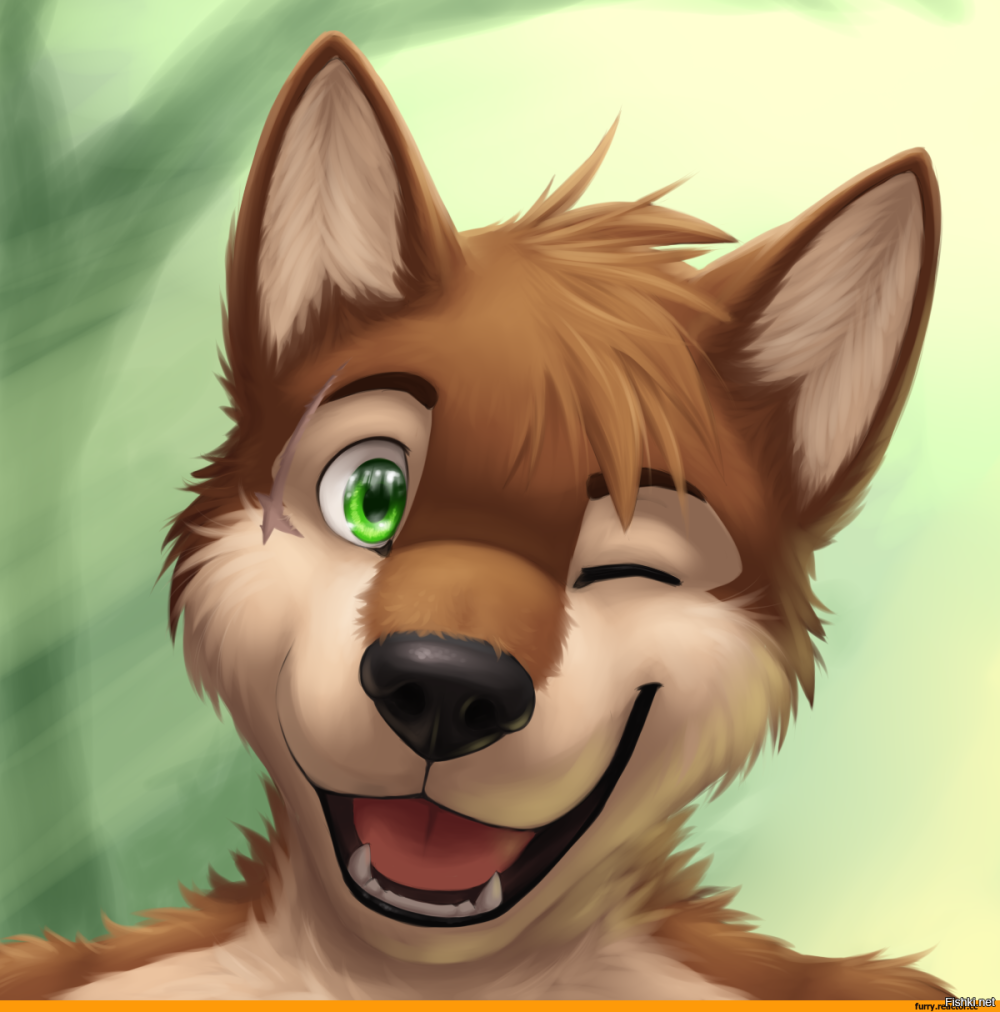 Furry овчарка