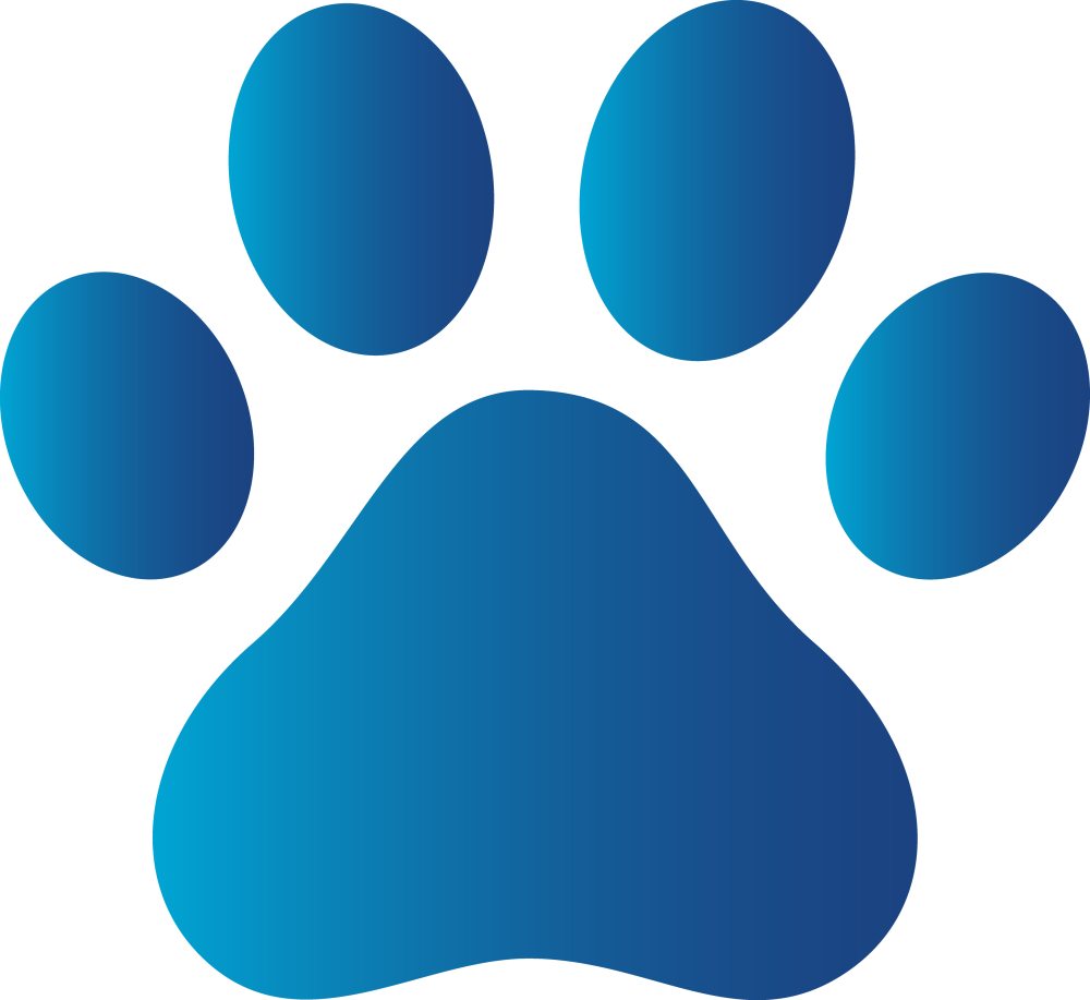 Paw Patrol huellas