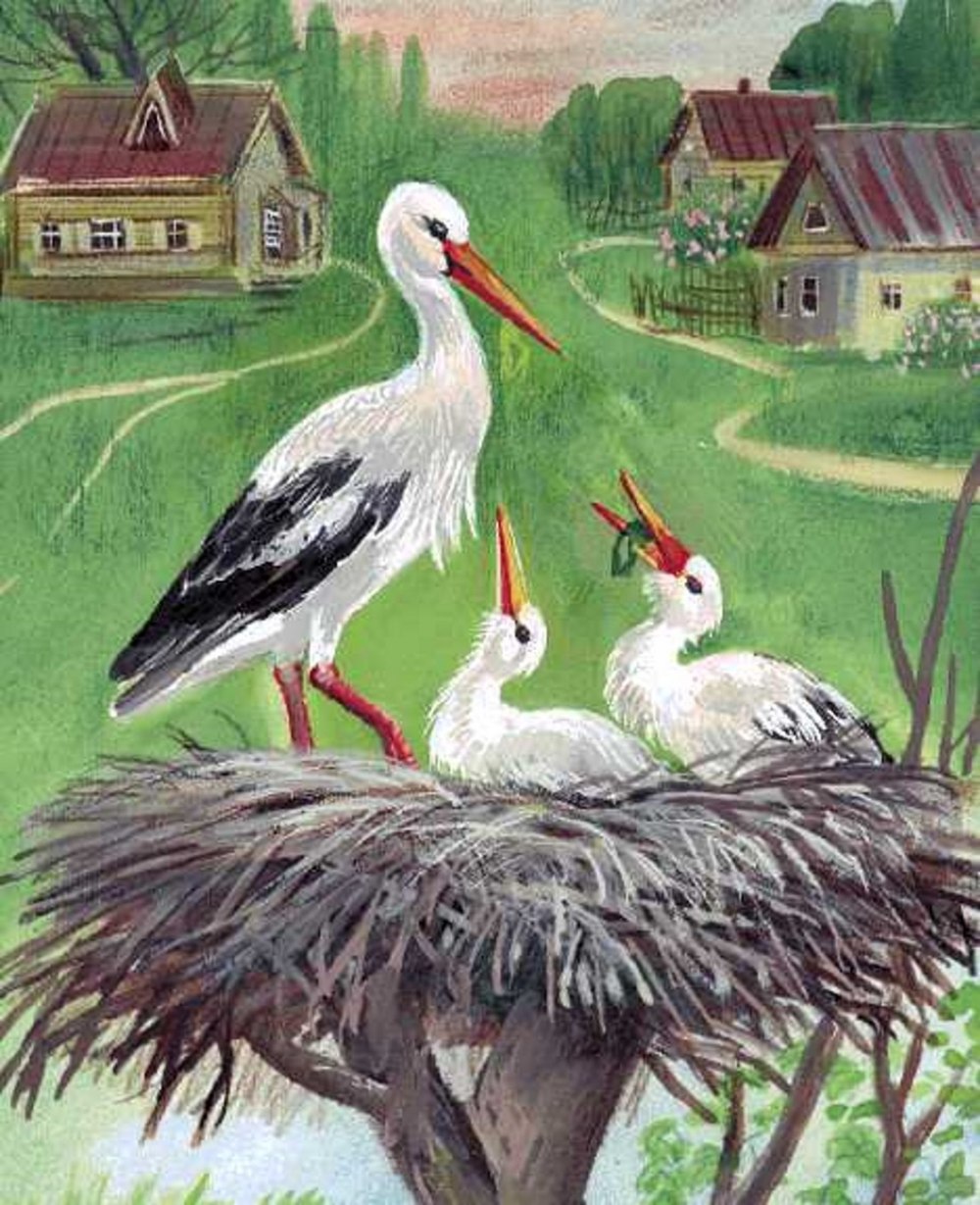 Пейзаж родной земли