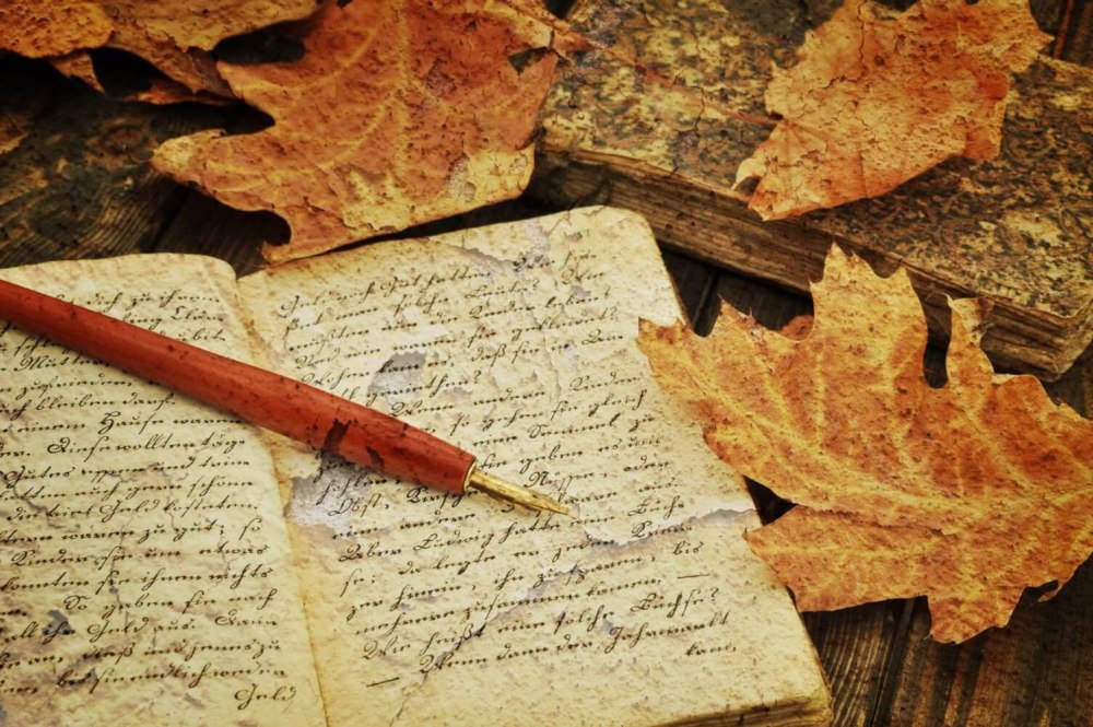 Фон книги