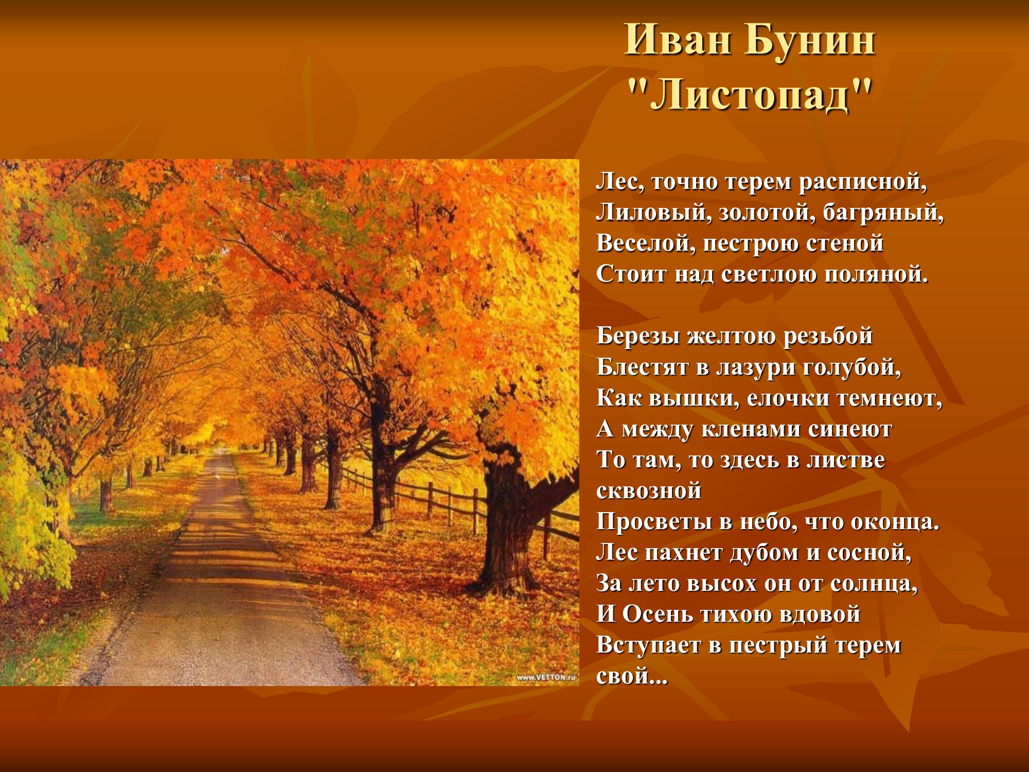 Стихотворение бунина осень. Ивана Бунина лес точно Терем расписной.