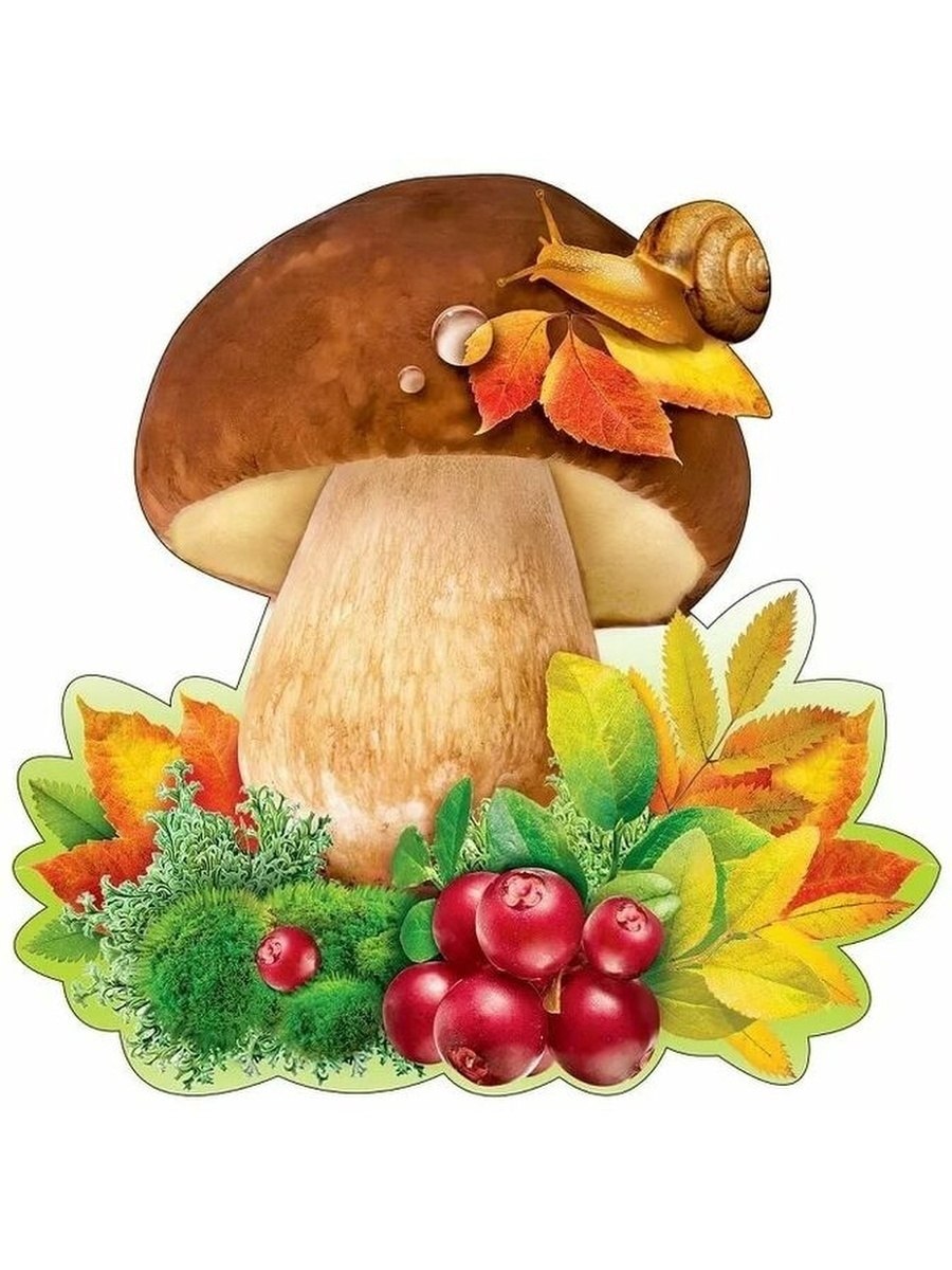 Мышка и грибочек