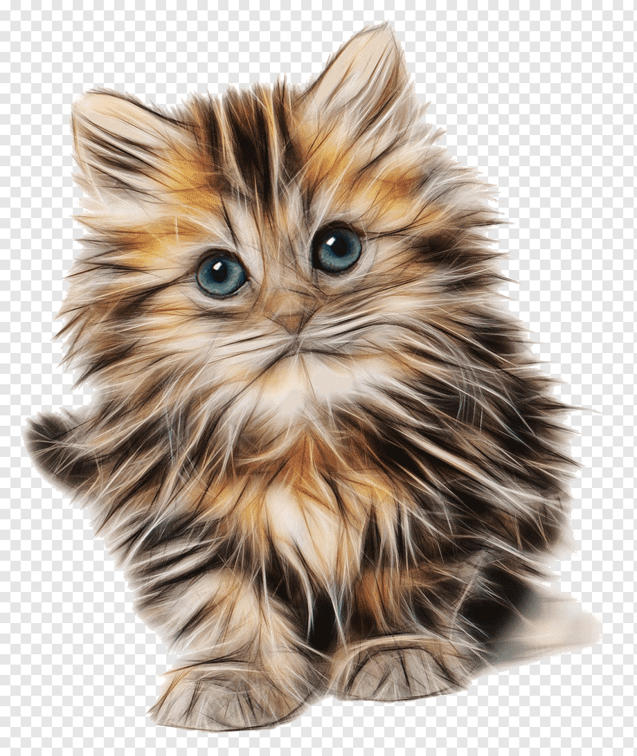 Милые котята на прозрачном фоне