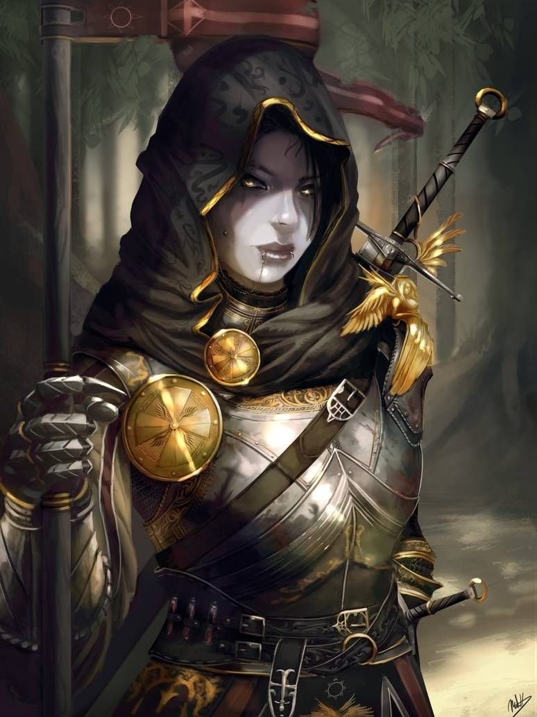 Паладин female Art