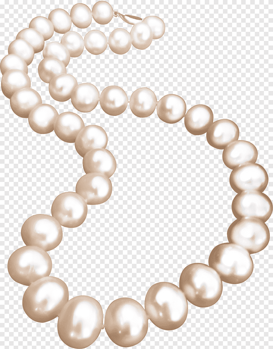 Shell 3d Max