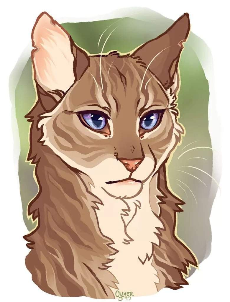 Ashfur коты Воители
