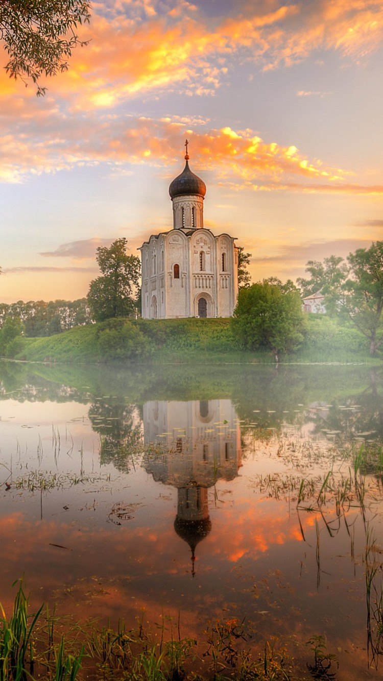 Медведь Гризли