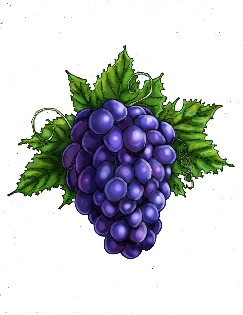 Компания grape логотип