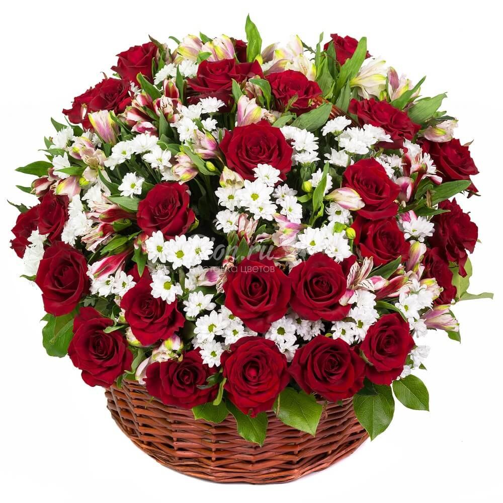 Розовые цветы