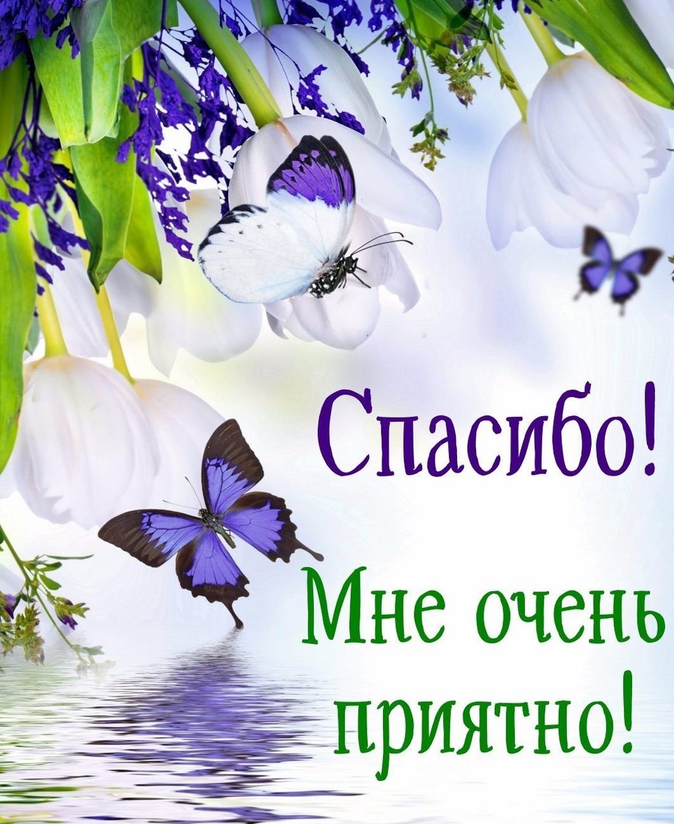 Красивые стихи для друзей с благодарностью