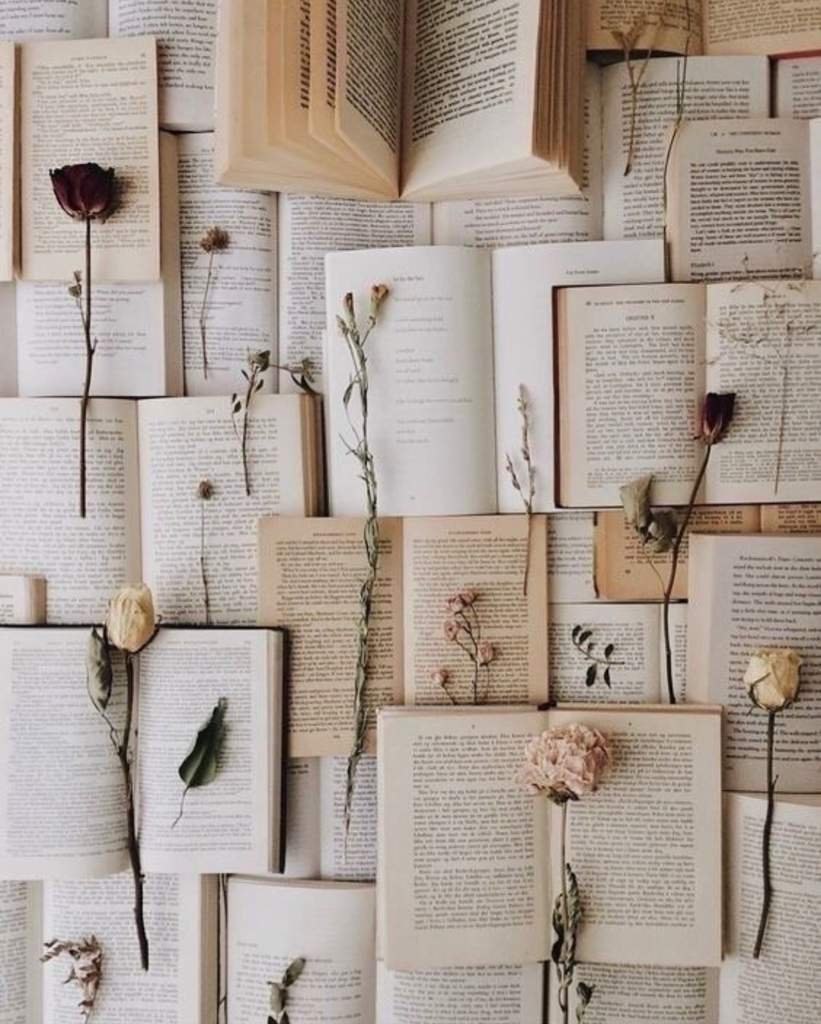 Книжная Эстетика