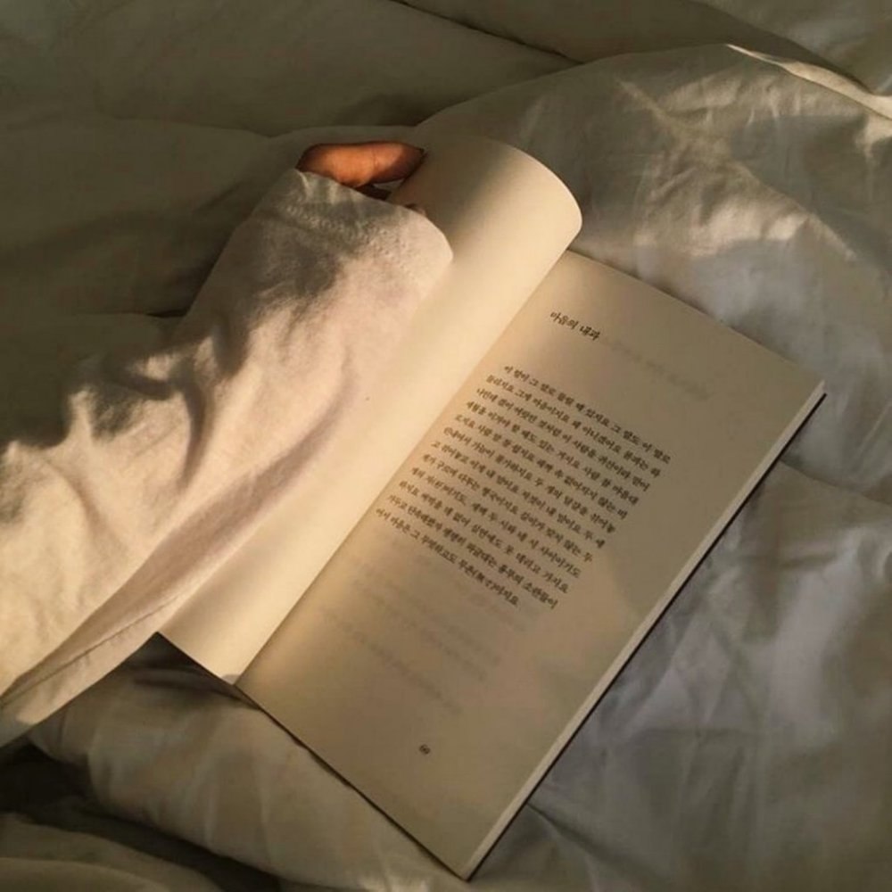 Книжный стеллаж Эстетика