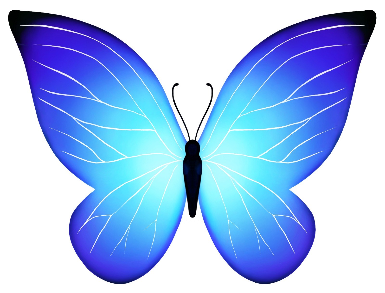 Бабочка скопировать. Эмодзи бабочка. Голубая бабочка. Синяя бабочка. Красивые бабочки на прозрачном фоне.