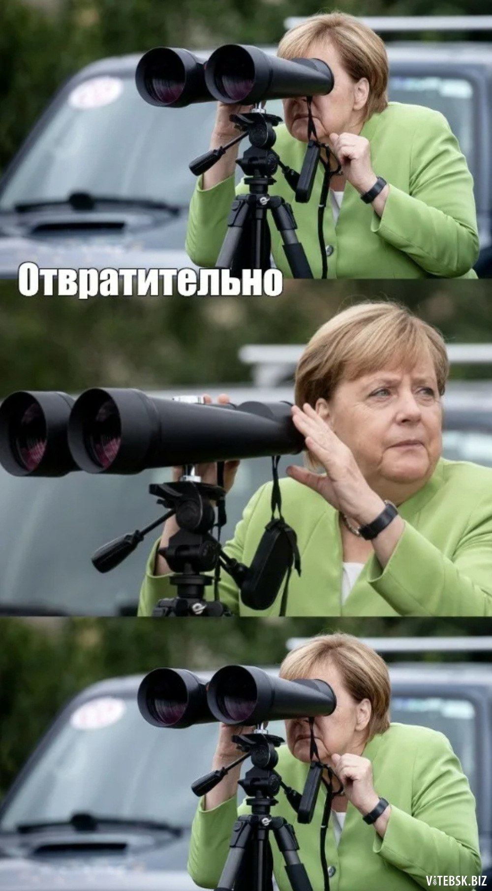 Ангела Меркель Мем