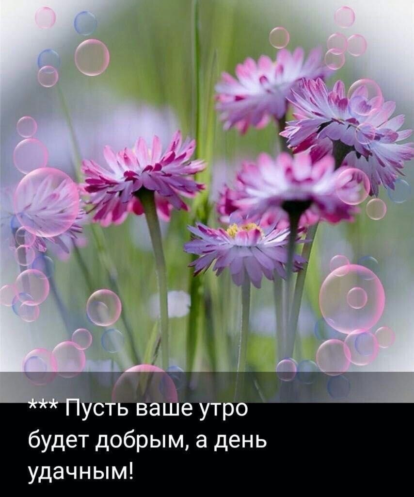 Отличного настроениев любую погоду