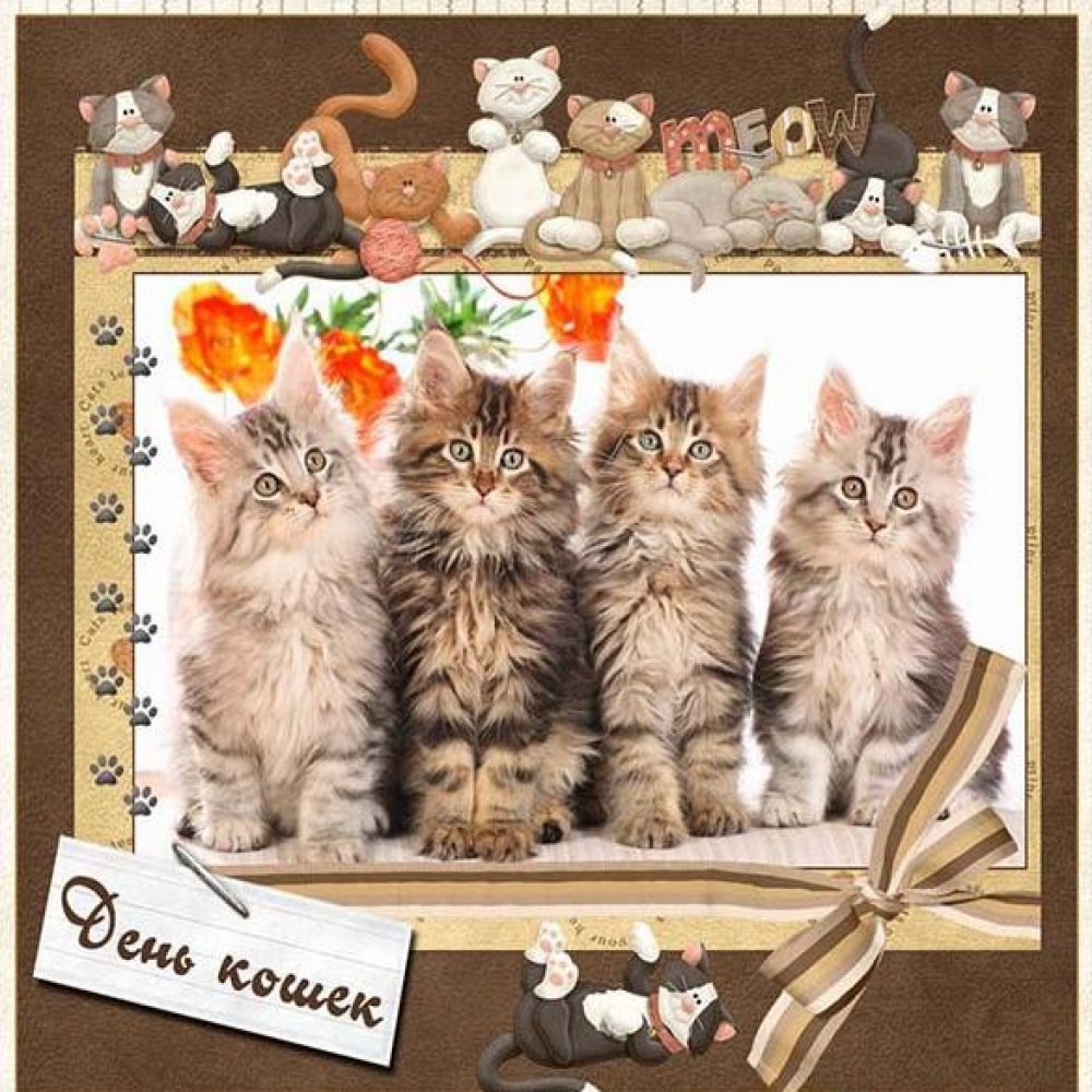Открытка кошки с днём рождения