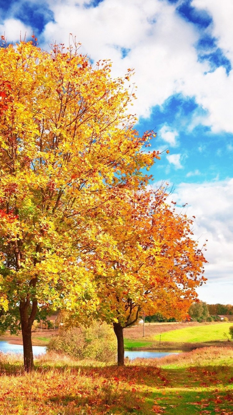Fall on