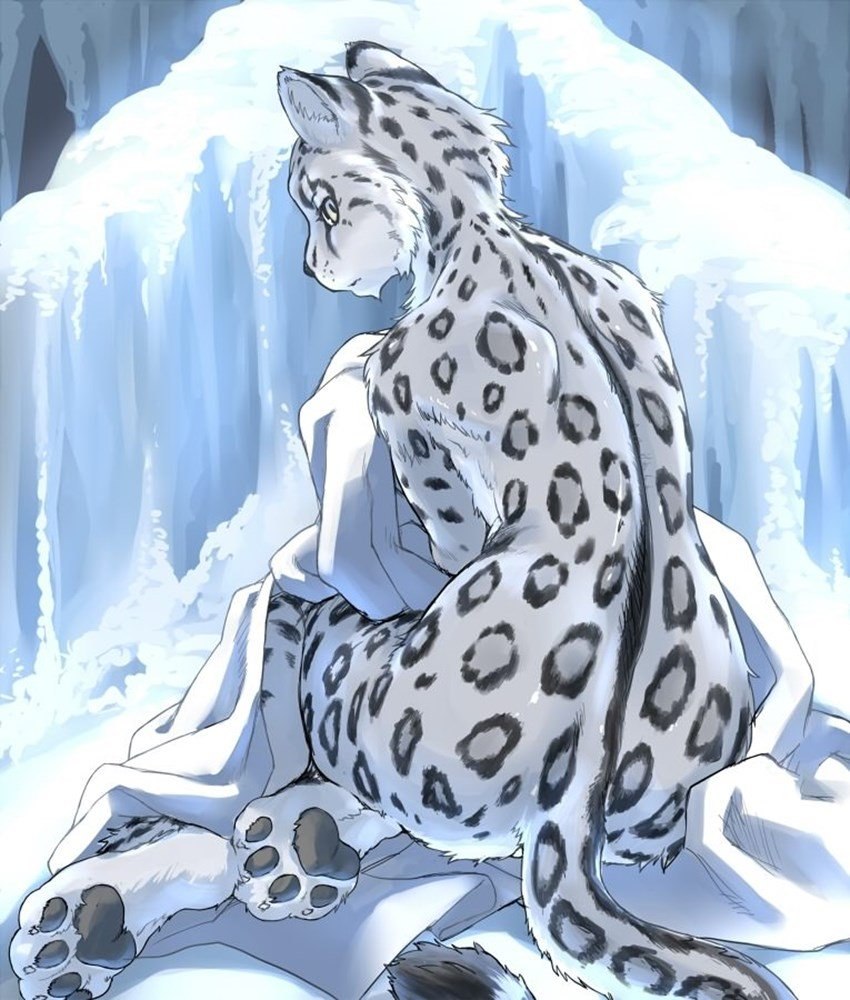 Снежный Барс furry