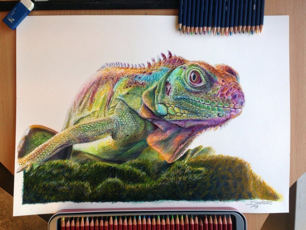 Карла Миалинн рисунки
