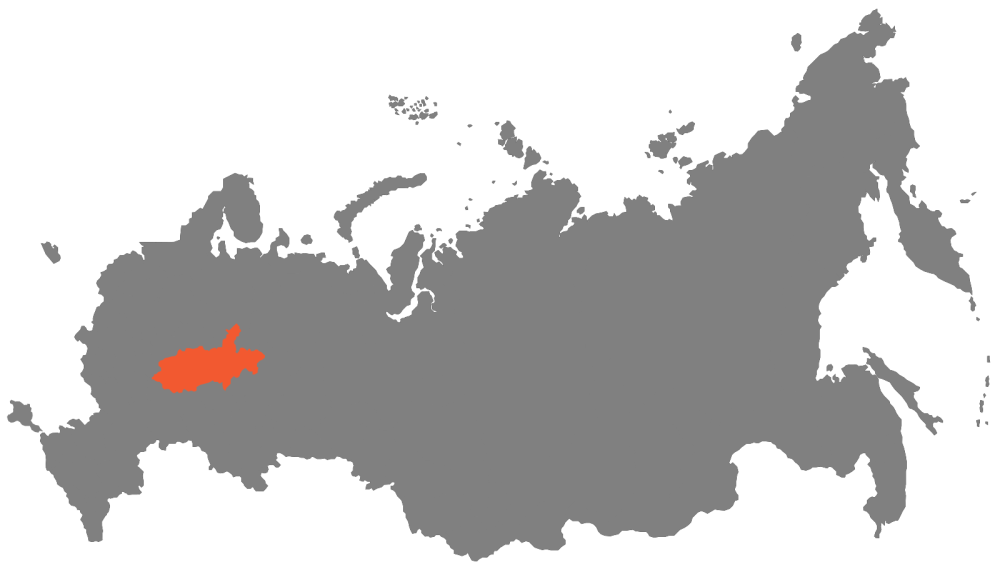 Карта России вектор